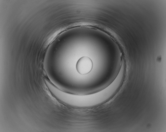 X0000116811185200912181337