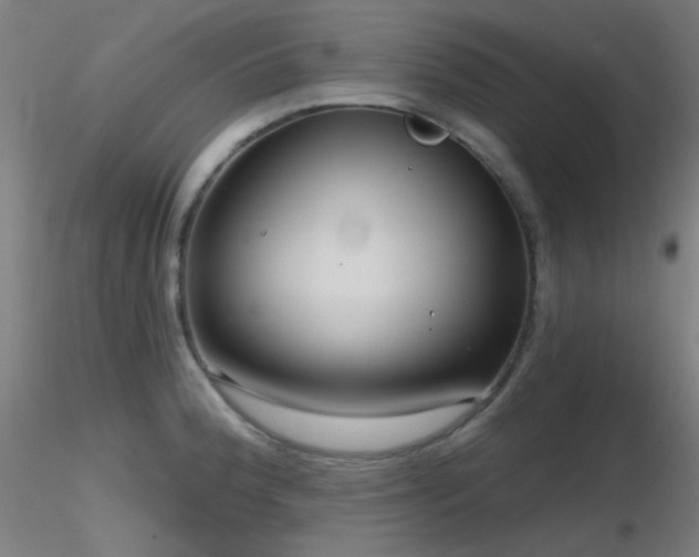 X0000116811188200912181337