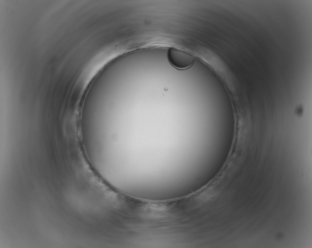 X0000116811190200912181337
