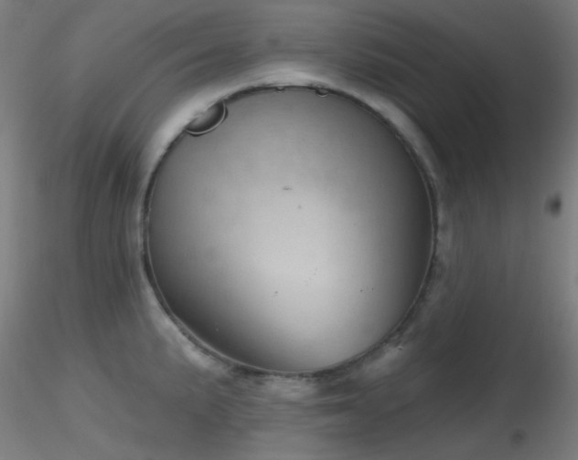 X0000116811191200912181337