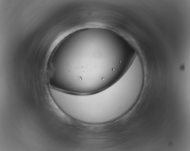 X0000116811192200912181337