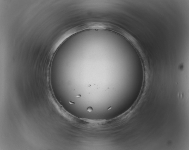 X0000116811194200912181337