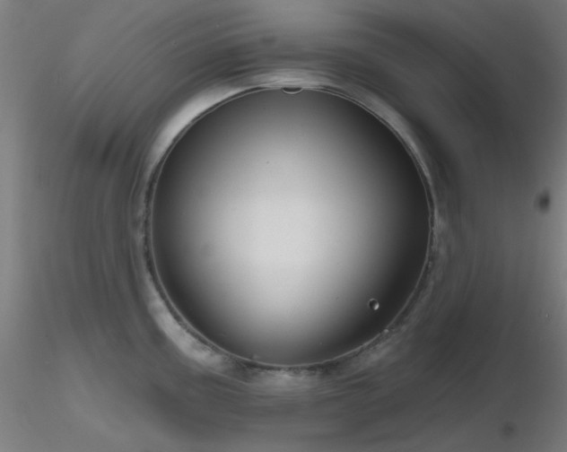 X0000116811195200912181337