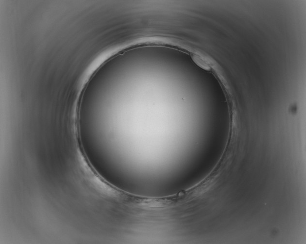 X0000116811199200912181337