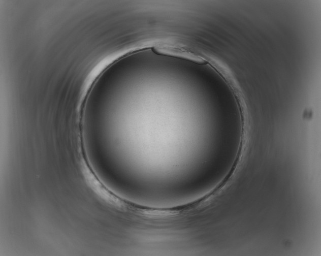 X0000116811200200912181337