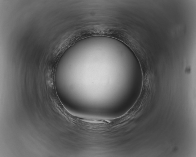 X0000116811202200912181336