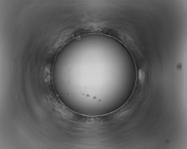 X0000116811203200912181336