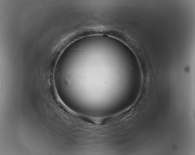 X0000116811205200912181336