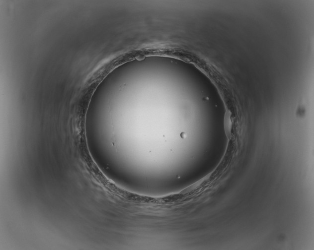 X0000116811206200912181336