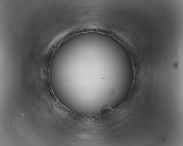 X0000116811207200912181336