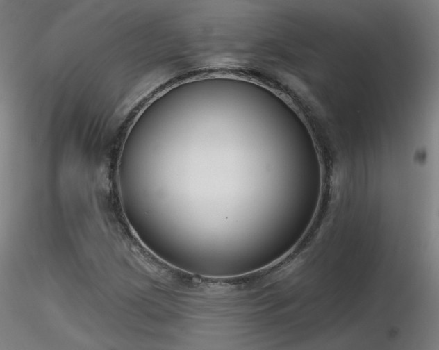 X0000116811209200912181336