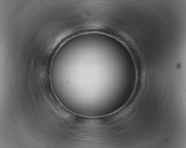 X0000116811210200912181336