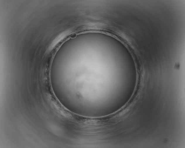 X0000116811211200912181336