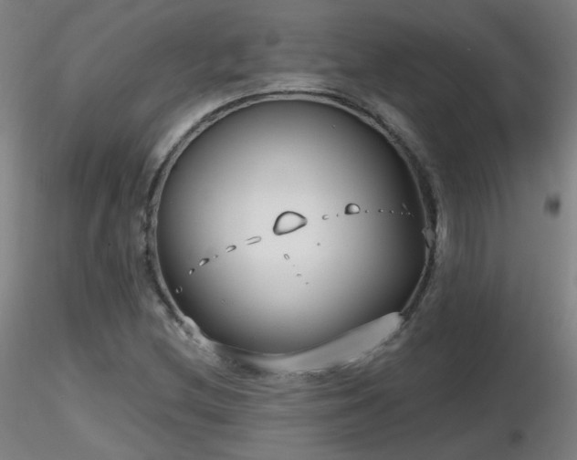 X0000116811212200912181336