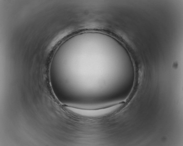 X0000116811213200912181336