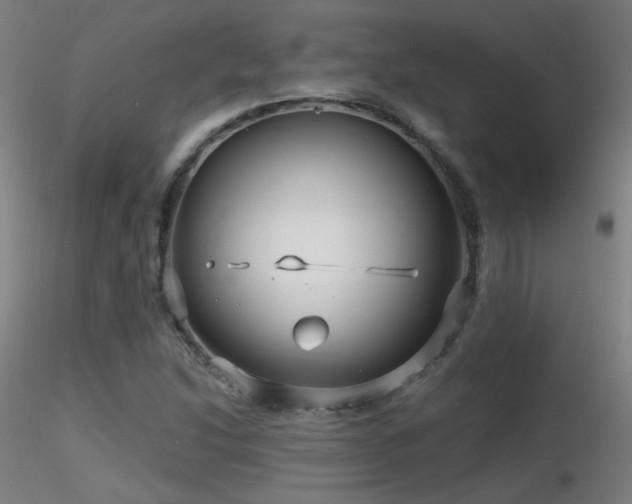 X0000116811214200912181336