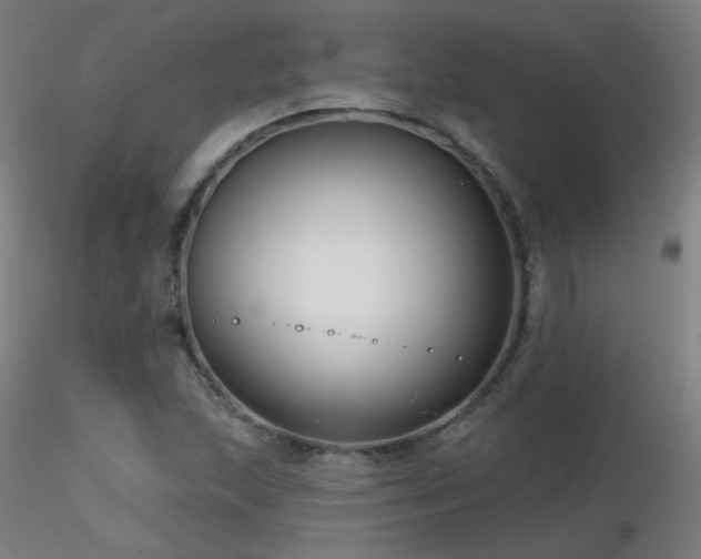 X0000116811215200912181336