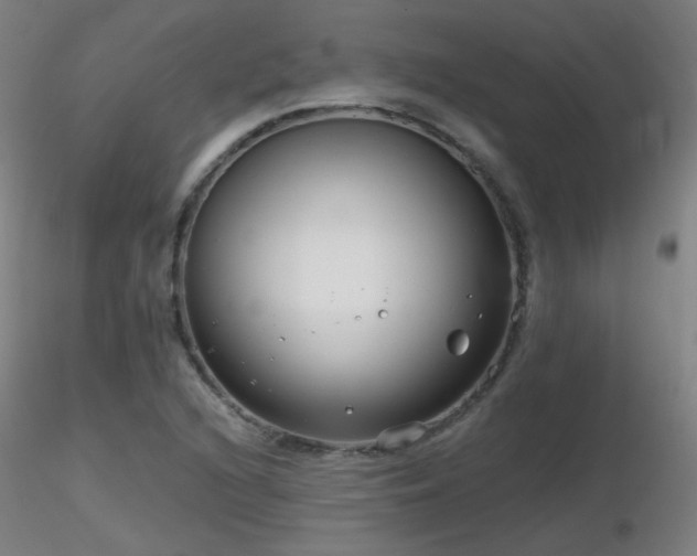 X0000116811216200912181336