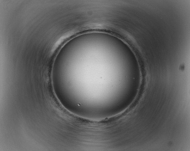 X0000116811218200912181336