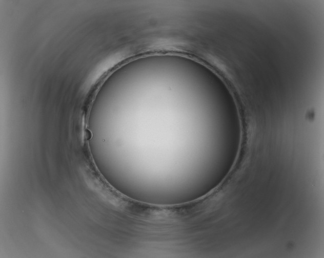X0000116811219200912181336