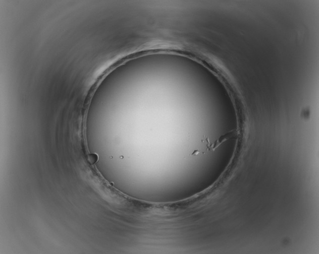 X0000116811220200912181336