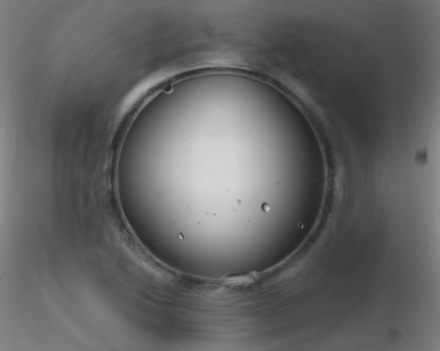 X0000116811222200912181336