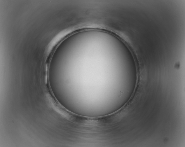 X0000116811223200912181336