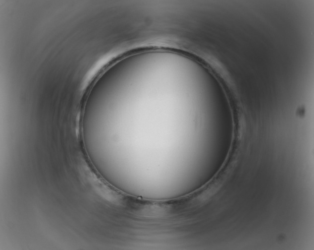 X0000116811224200912181336