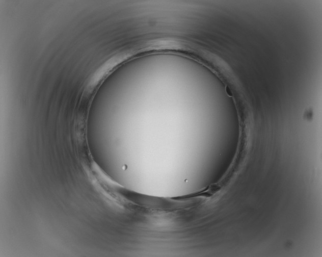 X0000116811225200912181336