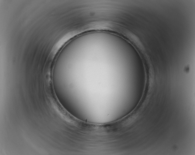 X0000116811226200912181336