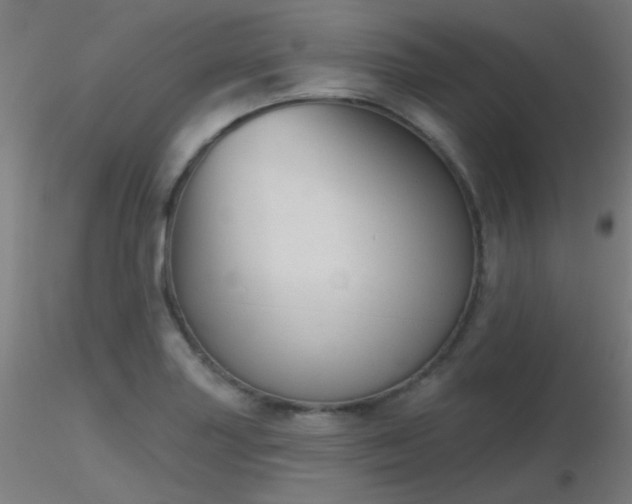 X0000116811227200912181336