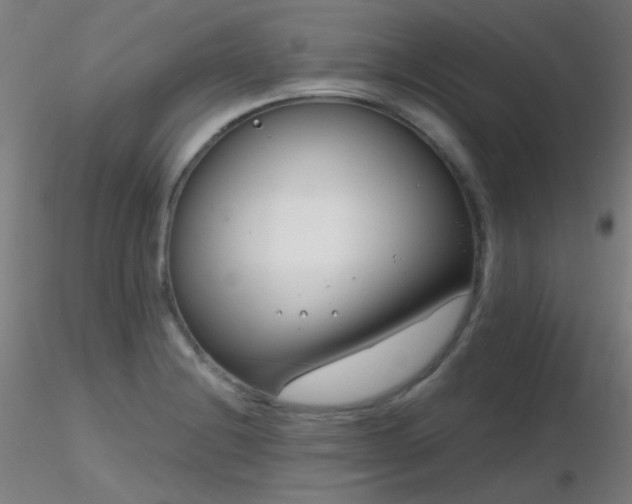 X0000116811228200912181336