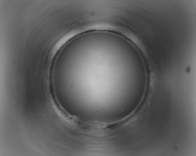X0000116811229200912181336