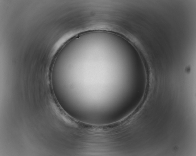 X0000116811230200912181336