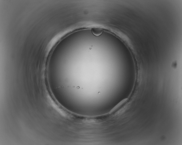 X0000116811231200912181336