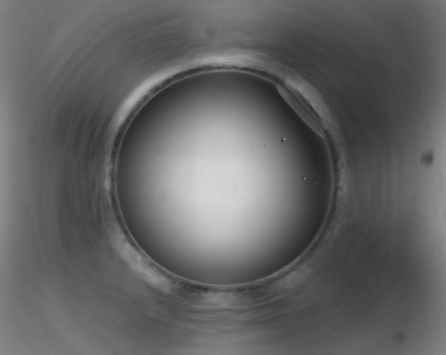 X0000116811232200912181336