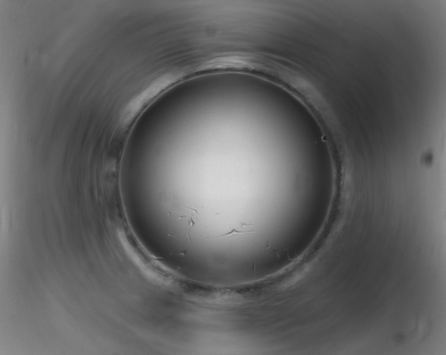 X0000116811233200912181336