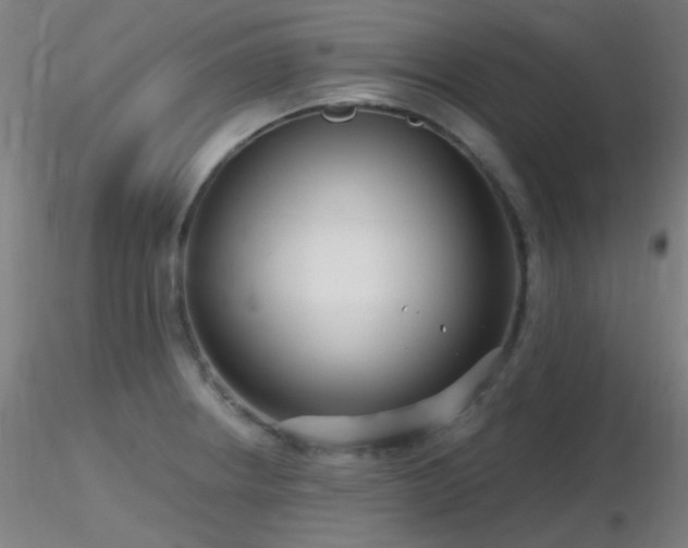 X0000116811234200912181337