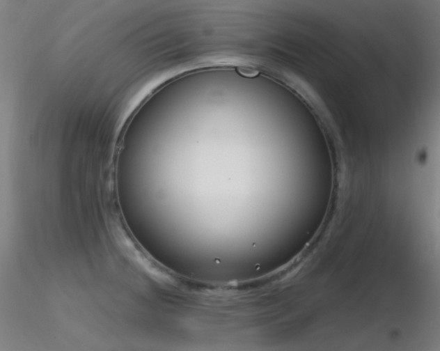 X0000116811236200912181337