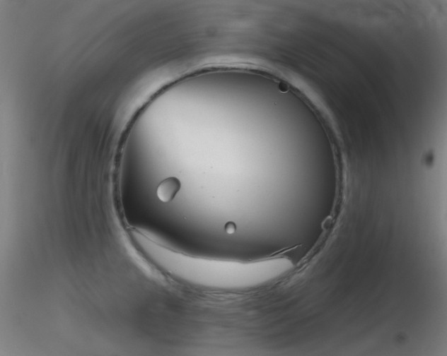 X0000116811237200912181337