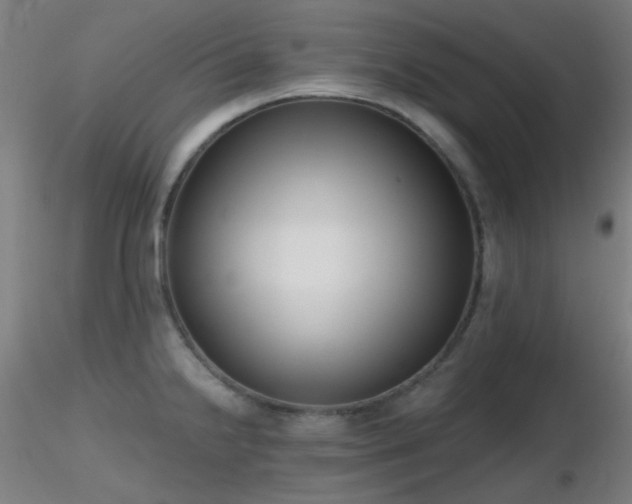 X0000116811238200912181337