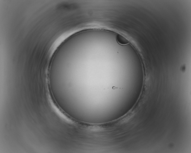 X0000116811239200912181337