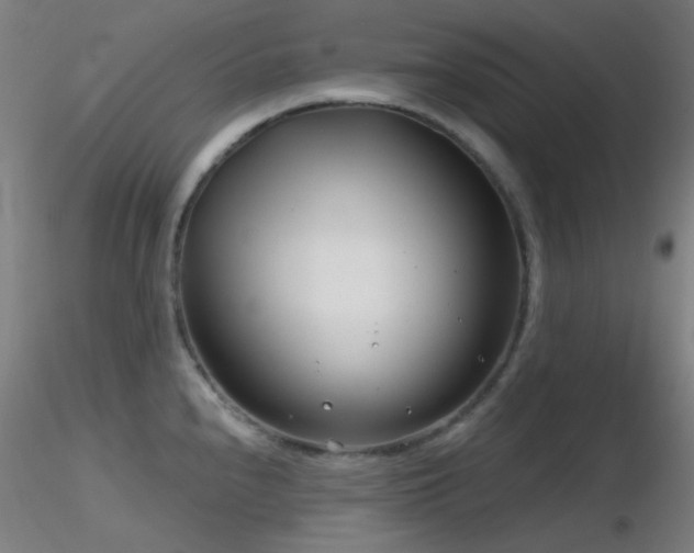 X0000116811240200912181337