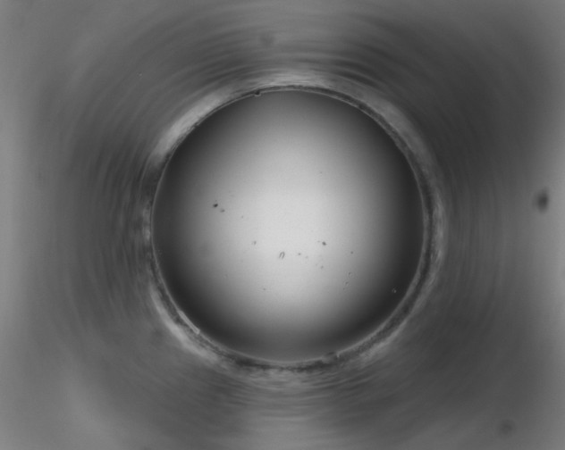 X0000116811241200912181337