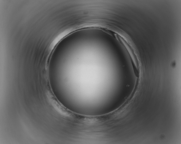 X0000116811242200912181337