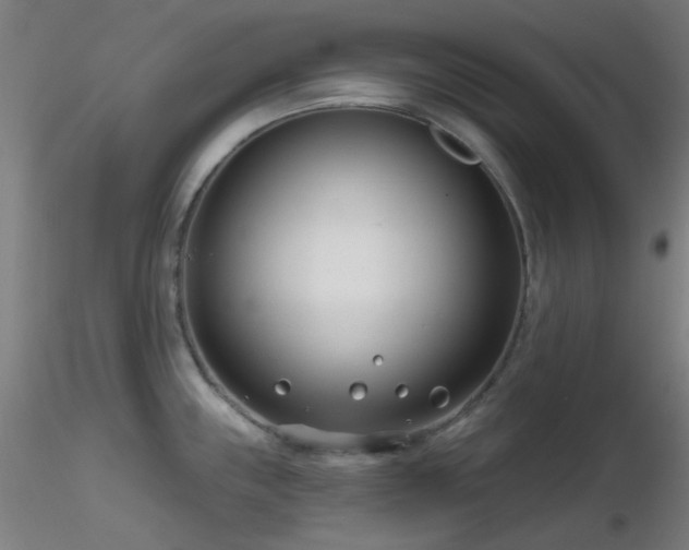 X0000116811243200912181337