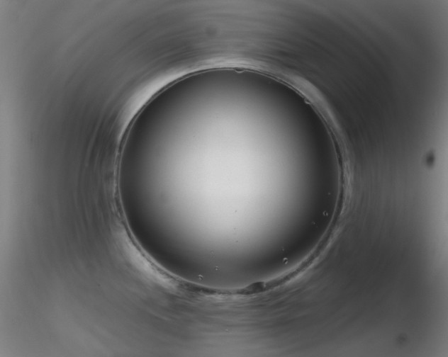 X0000116811244200912181337