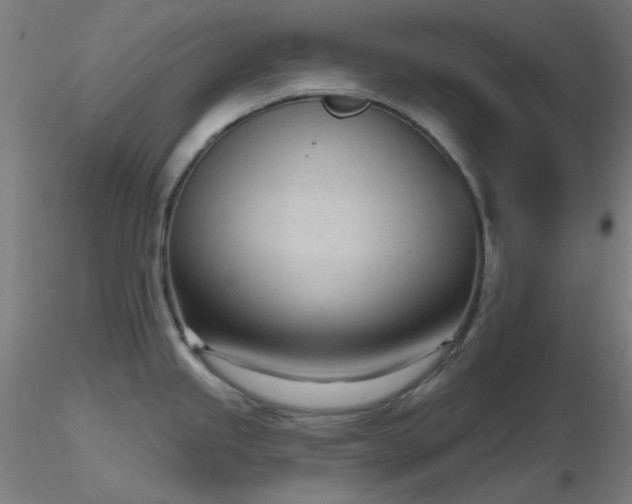 X0000116811245200912181337