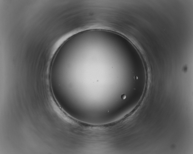 X0000116811246200912181337