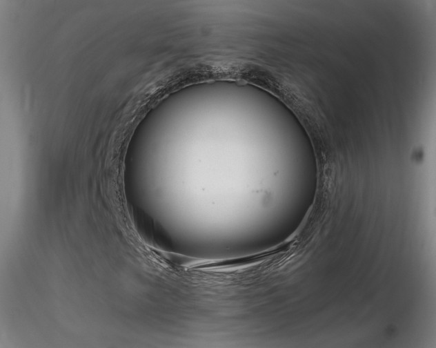 X0000116811249200912181336